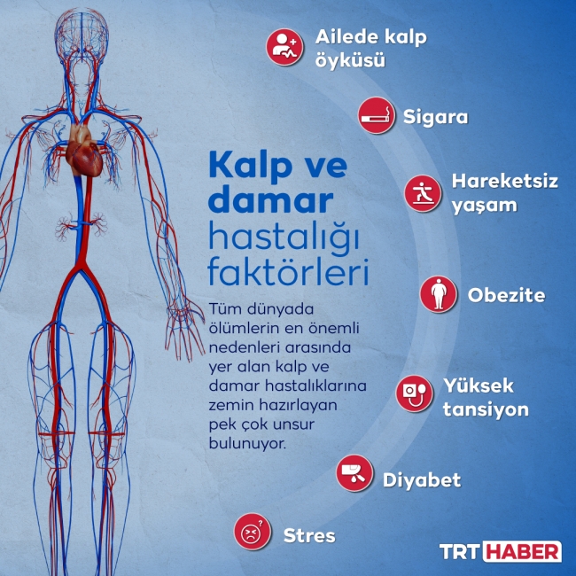 KALP HASTALIKLARINI ÖNLEMEK İÇİN SAĞLIKLI YAŞAM ÖNERİLERİ